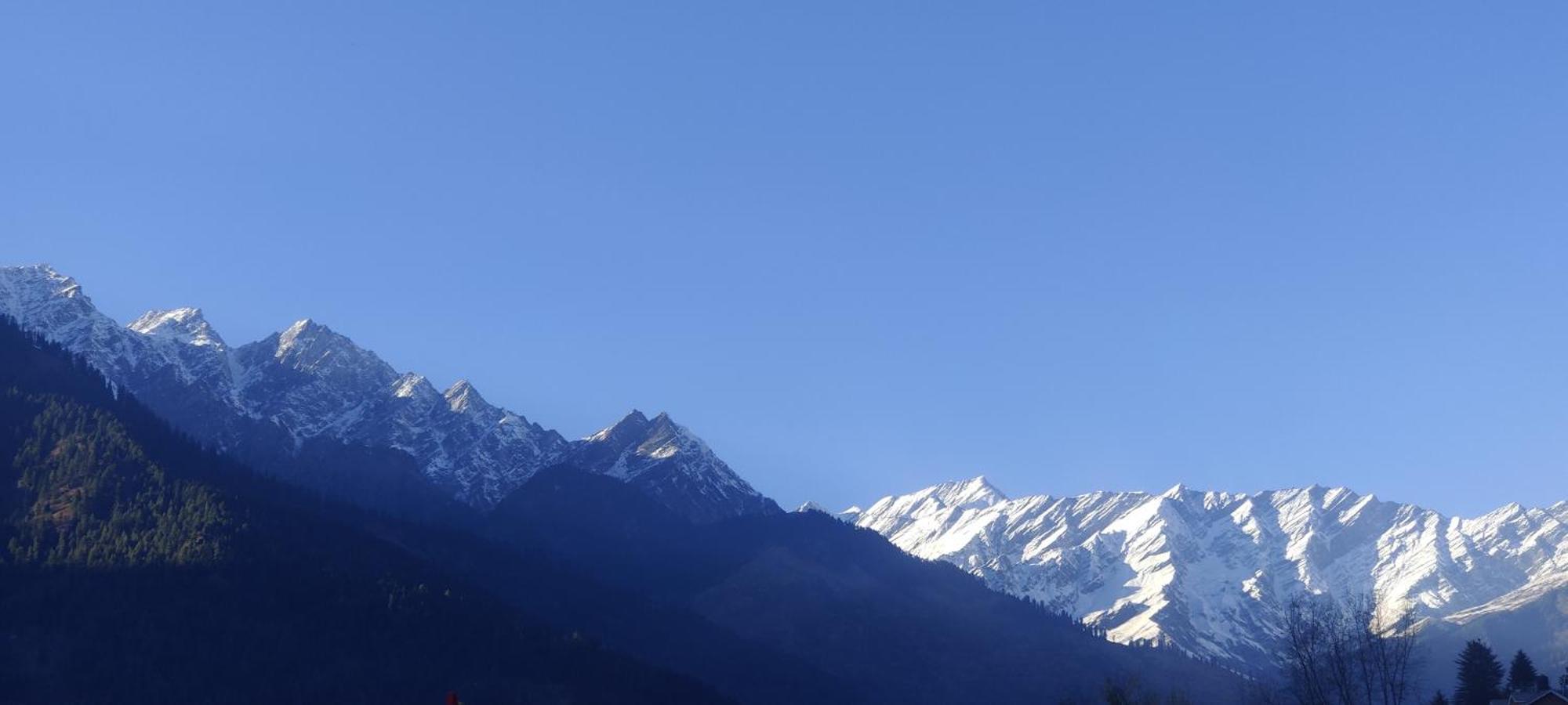 The Homstel Manali 호스텔 외부 사진